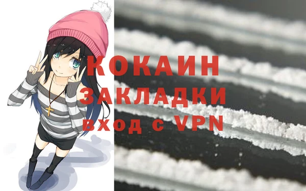 a pvp Бородино