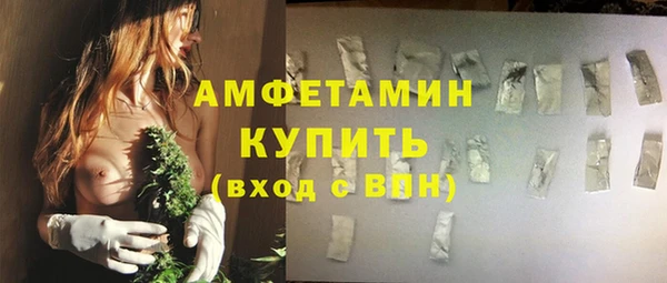 a pvp Бородино