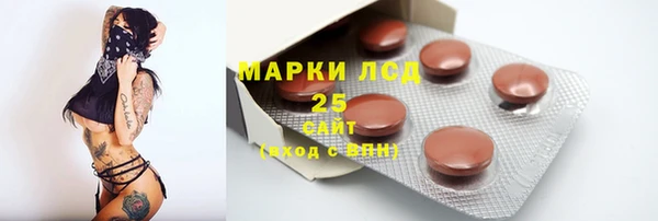 a pvp Бородино