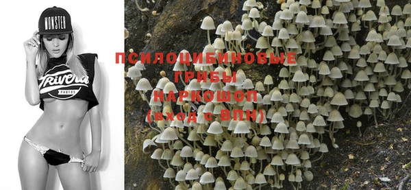 a pvp Бородино