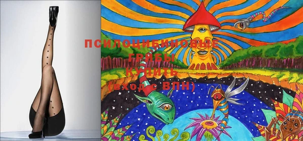 прущая мука Осинники