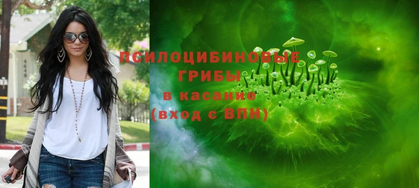 скорость Няндома