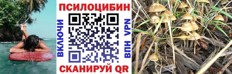 Галлюциногенные грибы Magic Shrooms  Гусиноозёрск 